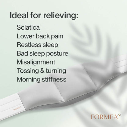 Core - Back Support Pillow